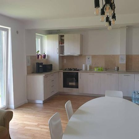 Garden Leisure Apartments Braşov Eksteriør bilde